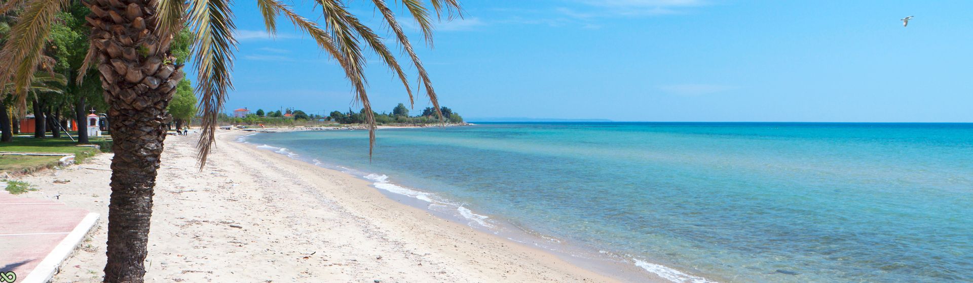 kombi-prevoz-halkidiki